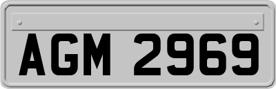AGM2969