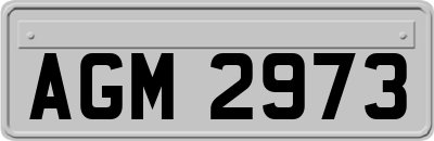 AGM2973