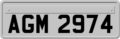 AGM2974