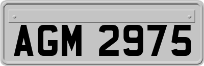 AGM2975