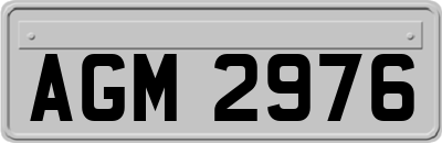 AGM2976