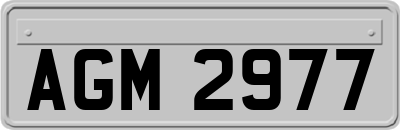 AGM2977