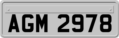 AGM2978