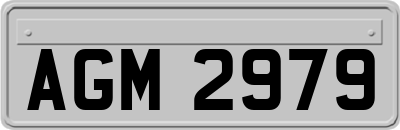 AGM2979