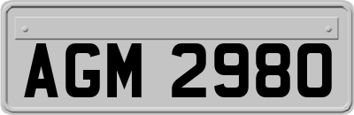 AGM2980