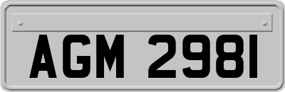 AGM2981