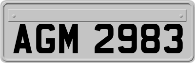 AGM2983