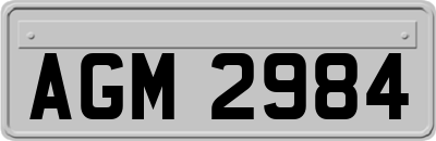 AGM2984