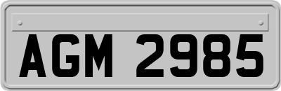 AGM2985