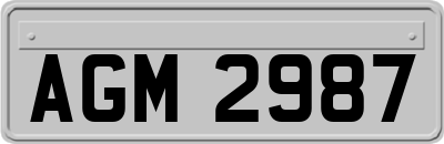 AGM2987