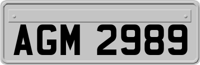 AGM2989