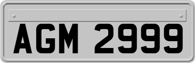 AGM2999