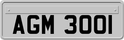 AGM3001