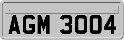 AGM3004