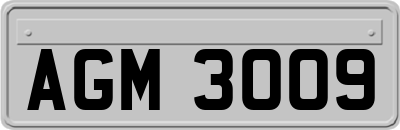 AGM3009