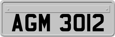 AGM3012