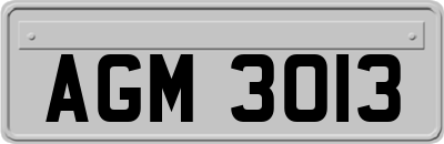 AGM3013
