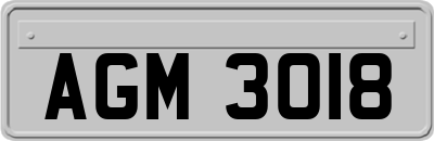 AGM3018