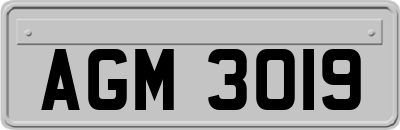 AGM3019