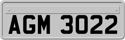 AGM3022