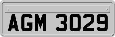 AGM3029