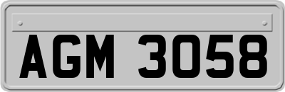 AGM3058