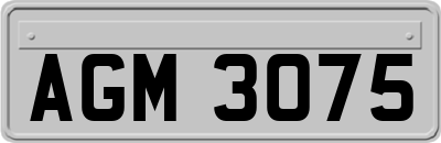 AGM3075