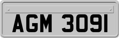 AGM3091