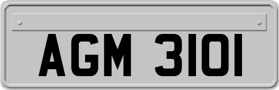 AGM3101