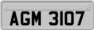 AGM3107