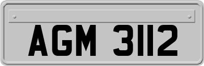 AGM3112