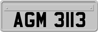 AGM3113