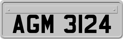 AGM3124