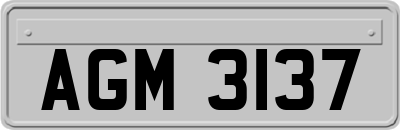 AGM3137