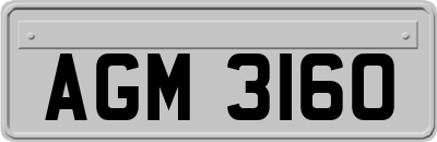 AGM3160