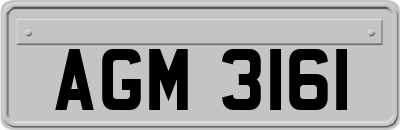 AGM3161