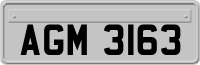 AGM3163