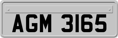 AGM3165