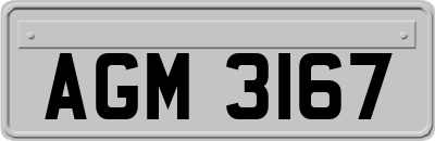 AGM3167