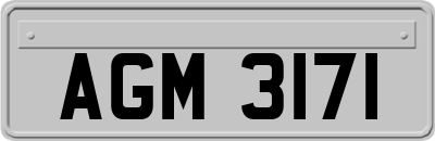 AGM3171