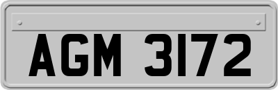 AGM3172