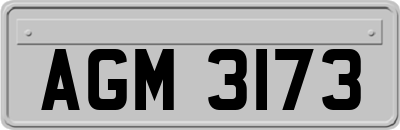 AGM3173