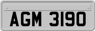 AGM3190