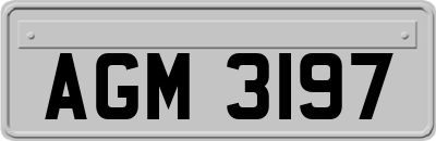 AGM3197