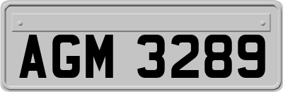 AGM3289