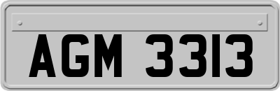 AGM3313