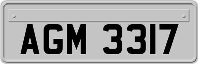 AGM3317