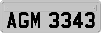 AGM3343