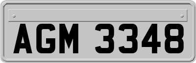AGM3348