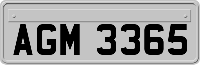AGM3365